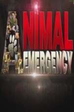 Watch Animal Emergency Soap2day