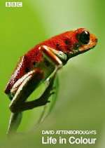 Watch Attenborough's Life in Colour Soap2day