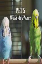 Watch Pets - Wild at Heart Soap2day