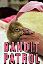 Watch Bandit Patrol Soap2day