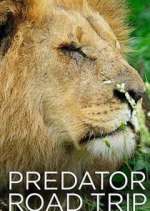 Watch Predator Road Trip Soap2day