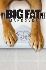Watch My Big Fat Pet Makeover Soap2day