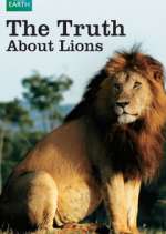 Watch The Truth About Lions Soap2day