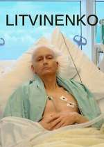 Watch Litvinenko Soap2day