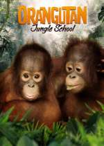Watch Orangutan Jungle School Soap2day