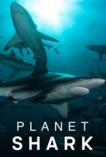 Watch Planet Shark Soap2day