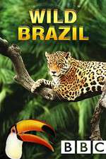 Watch Wild Brazil Soap2day