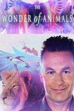 Watch The Wonder of Animals Soap2day