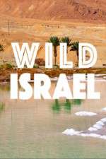 Watch Wild Israel Soap2day