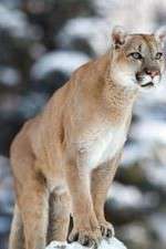 Watch Race of Life Soap2day