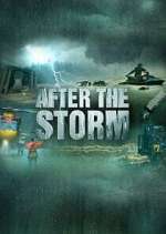 Watch After the Storm Soap2day