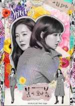 Watch Spring Turns to Spring Soap2day