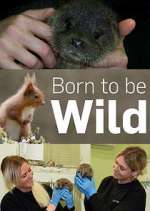 Watch Born to Be Wild Soap2day