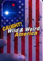 Watch Wild & Weird America Soap2day
