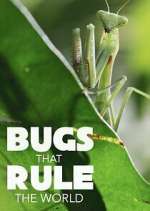 Watch Bugs that Rule the World Soap2day