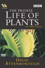 Watch The Private Life of Plants Soap2day