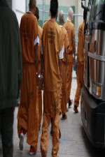 Watch First Week In Soap2day