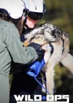 Watch Wild Ops Soap2day