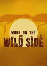 Watch Work on the Wild Side Soap2day