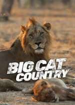 Watch Big Cat Country Soap2day