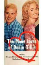 Watch The Many Loves of Dobie Gillis Soap2day