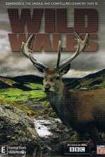 Watch Wild Wales Soap2day