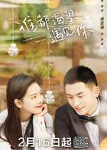 Watch Everyone Wants to Meet You Soap2day