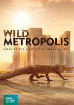 Watch Wild Metropolis Soap2day