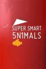 Watch Super Smart Animals Soap2day
