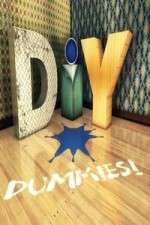 Watch DIY Dummies Soap2day