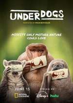 Watch Underdogs Soap2day
