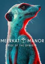 Watch Meerkat Manor: Rise of the Dynasty Soap2day