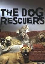 Watch The Dog Rescuers with Alan Davies Soap2day