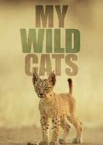 Watch My Wild Cats Soap2day