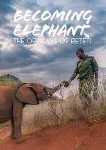Watch Becoming Elephant: The Orphans Of Reteti Soap2day
