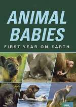 Watch Animal Babies: First Year on Earth Soap2day