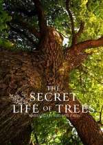 Watch The Secret Life of Trees Soap2day