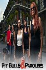 Watch Pit Bulls and Parolees Soap2day