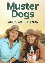 Watch Muster Dogs: Where Are They Now? Soap2day