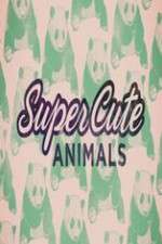 Watch Super Cute Animals Soap2day