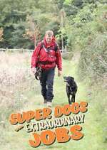 Watch Super Dogs with Extraordinary Jobs Soap2day