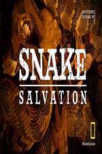 Watch Snake Salvation Soap2day