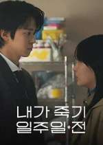 Watch Way Back Love Soap2day