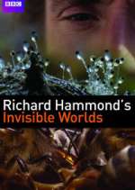Watch Richard Hammond's Invisible Worlds Soap2day