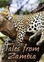 Watch Tales from Zambia Soap2day