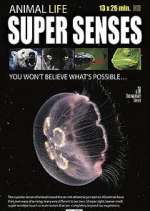 Watch Super Senses Soap2day