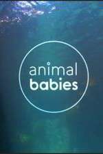 Watch Animal Babies Soap2day