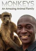 Watch Monkeys: An Amazing Animal Family Soap2day