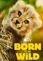 Watch Born to Be Wild Soap2day