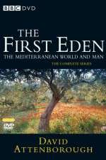 Watch The First Eden Soap2day